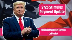 $725 Stimulus Payment Update