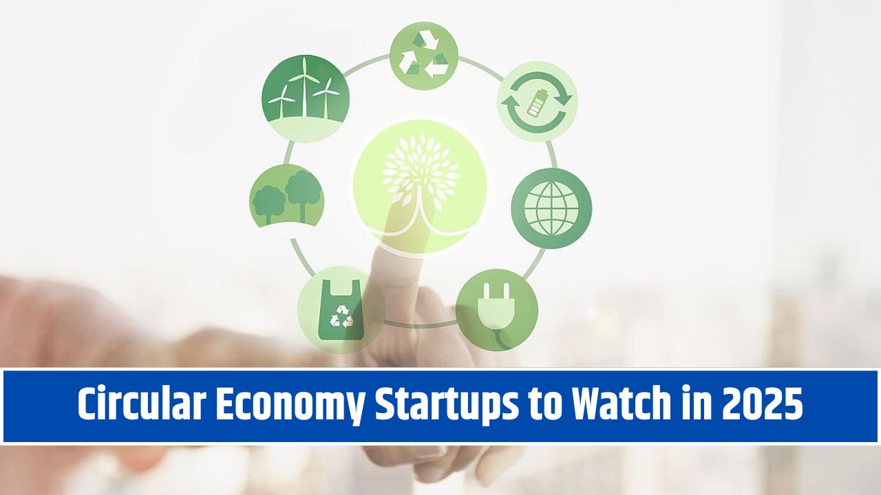 Circular Economy Startups to Watch in 2025